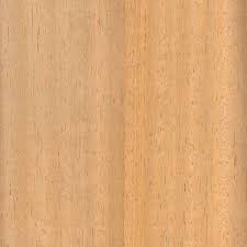 Image result for Pericopsis elata