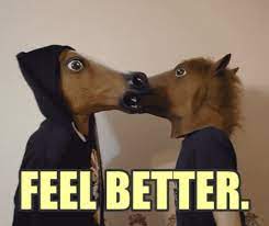 So we invite you to sit down and enjoy this compilation we have for you! Gif Get Well Horses Pferde Animated Gif On Gifer