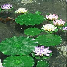 Create a lush look for your aquarium with artificial aquarium plants. Buy Foam Water Floating Plants Fake Plant Simulation Artificial Flower Lotus At Affordable Prices Free Shipping Real Reviews With Photos Joom