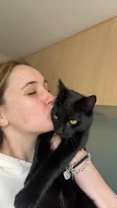 Missing black cat in Coromandel