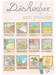 Fichier Pdf Affiche Desherbants Sans Pesticides Hdef Pdf Comment Desherber Desherbant Naturel Jardin Potager