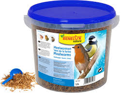 Vers De Farine Seche Seau 10 Litres Central Jardin