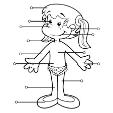 Juegos de dibujar líneas en juegos wapos.es. Dibujos Del Cuerpo Humano Para Colorear E Imprimir