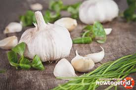 Bawang putih selalu bersabar untuk menghadapi musibah yang dialaminya. Bawang Putih Hamil Faedah Dan Keburukan