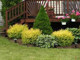 Kebun bunga depan rumah home facebook kebun bunga depan rumah 261 likes 3 talking about this ditubuhkan untuk perkongsian bersama sesiapa saja yang berminat menanam pokok bunga. Pokok Pokok Renek Dan Bunga Dalam Reka Bentuk Landskap 77 Foto Komposisi Dengan Rybinolistnom Dan Tamarix Rowan Jus Dan Anggur Gadis