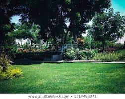 Seating In The Garden Under A Shady Tree In The Park At Tangguwisia Village North Bali Indonesia Shady Tree Shady Outdoor Photographer