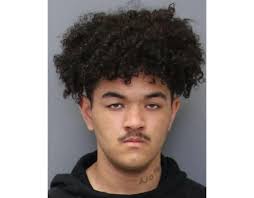 Police: 16-year-old La Plata boy in custody after possession of gun,  marijuana in bookbag