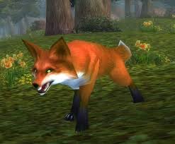 Fox Hunter Pet World Of Warcraft