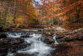 Places to stay near ricketts glen. Tips For Hiking The Falls Trail In Ricketts Glen State Park Uncoveringpa