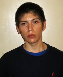 Los Alamos Police Blotter: March 26 To April 1, 2015