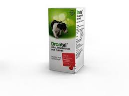 What are the side effects of drontal plus? Drontal Drontal For Dogs Cats Drontal Plus Wormer Viovet