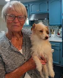 davison farmers market