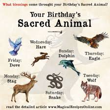 Sacred Animal Of Your Birthday Magical Recipes Online In 2020 It S Your Birthday Spirit Animal Brave Animals