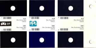 Image result for Bleu Muzzano 2011 Citroen