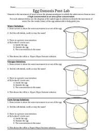 Pin On Experiments