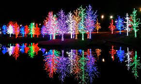 vitruvian lights magical night of lights addison tx family friendly event christmas photos holiday season