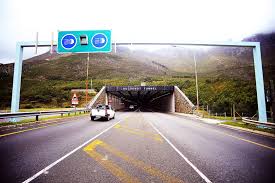 Image result for karp ln  tunel ort za
