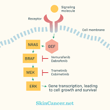 If your diagnosis is thyroid cancer, you may be able to breathe a bit easier, as it's one of the most treatable cancers when caugh. Skin Cancer Causes Genetic Mutations Skincancer Net