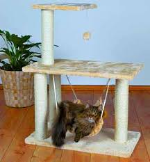 If you have any suggestions for any maine coon cat trees uk that have not been listed below, then make sure to leave a comment and link to your favourites so that our visitors can check. Maine Coon Cat Tree House Baby Cuddling Kitten