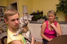 These pictures of this page are about:autistic cat Some Autistic Children May Prefer Cats As They Don T Hold Eye Contact New Scientist