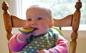 Baby Led Weaning with Shelly Vahle, Registered Dietitian