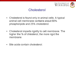We did not find results for: Welcome To Class Of Lipids Dr Meera Kaur
