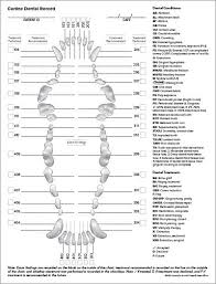 canine dental record veterinary studies vet med