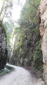 Oops… no streams currently available for radio zarnesti. ZÄƒrnesti Wikitravel