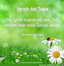 Spruch Des Tages