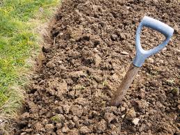This type of grass is ideal for clay soil. Gardening The Best Plants For Clay Soil Grow In Full Sun And Partial Shade