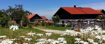 Urlauber mit hund sind auf unseren ferienhöfen in franken, im allgäu, im bayerischen wald und in oberbayern herzlich willkommen. Bayerischer Wald Ferienhaus Mit Hund In Bayern Eingezauntes Grundstuck Am See