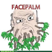 Puns Face Funny Puns Pun Pictures Cheezburger