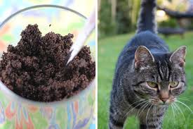 Das problem ist, die katzen vergraben ihren kot nicht, da sie auch auf die holzterasse vor die terassentür bzw. Kaffeesatz Gegen Katzen Schnecken Co Gartenlexikon De