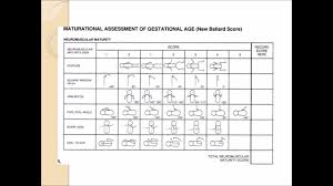 Ballard Score Healthcare Nursing Periodic Table Health