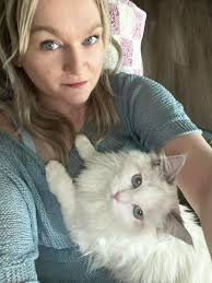 Ragdoll cat breed and owner experience