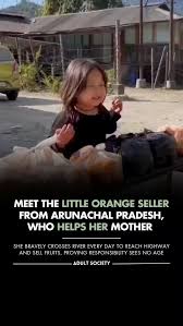 Meet the little orange seller from Arunachal Pradesh, a tiny girl braving the remote highways with her carry bags of fruit. Selling oranges with innocence and charm, her small hands carry the weight ...