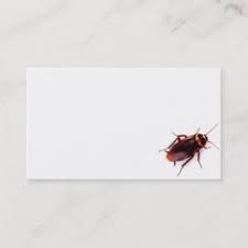 We offer pest control services all over the state of texas, including houston, woodlands, bay city, fort worth, magnolia, north austin, south austin, san antonio at it's bugs or us®, we are here to help and exterminate the problem! 170 Pest Control Business Cards Ideas In 2021 Pest Control Business Cards Cards