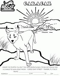 Check spelling or type a new query. Coloring Pages Coloring Home