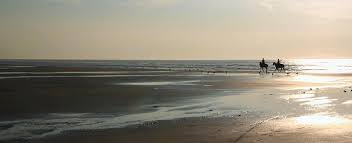 White Funeral Home And Cremation Services Griffith In Funeral Home And Cremation