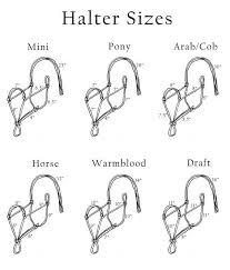 Rope Halter Sizes Would Be Cool To Learn How To Make Them