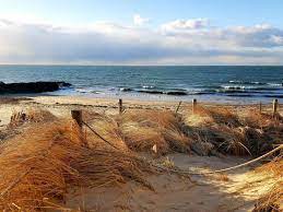Glendon Road Beach Beach Cape Cod Beaches Beach Images