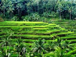 Image result for kumpulan gambar keindahan alam