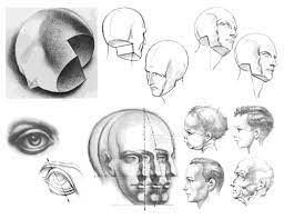 Drawing The Human Head Pdf Pesquisa Google Drawing The Human Head Drawings Basic Drawing