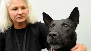 A look at the bond between Ventura's homeless and their pets