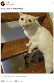 The 100 Most Iconic And Hilarious Memes Of 2018 Funny Cat Memes Animal Memes Funny Memea