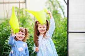 Build your own greenhouse nz. Creative Diy Greenhouse Ideas Crewcut Lawn Garden