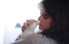 Plucked from peril to sitting pretty