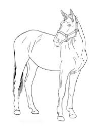 We have selected the best free horses coloring pages to print out and color. 101 Horse Coloring Pages For Kids Adults Free Printables