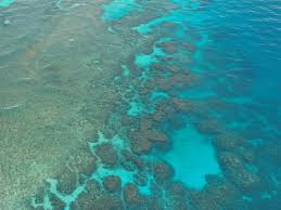 Reefs