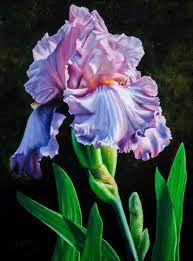 Iris Flower Art Print Floral Painting Reproduction Of Original Oil Painting Free Shipping Flower Prints Art Iris Flowers Iris Painting